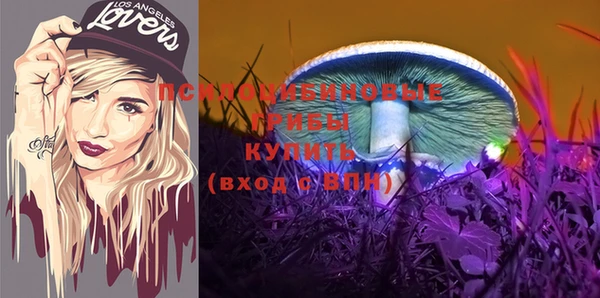 ПСИЛОЦИБИНОВЫЕ ГРИБЫ Алексин