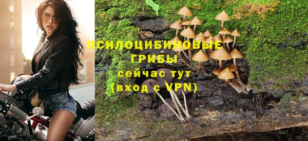 ПСИЛОЦИБИНОВЫЕ ГРИБЫ Алексеевка