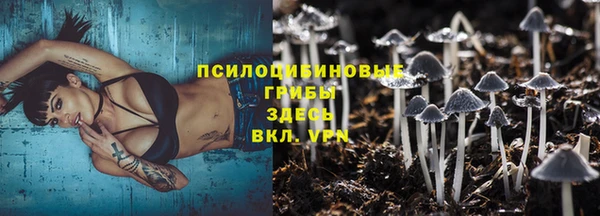 ПСИЛОЦИБИНОВЫЕ ГРИБЫ Алексеевка