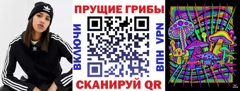 сколько стоит  Артёмовск  Псилоцибиновые грибы MAGIC MUSHROOMS 